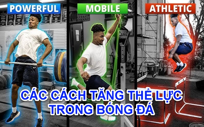 Cách tăng thể lực trong bóng đá vebotv